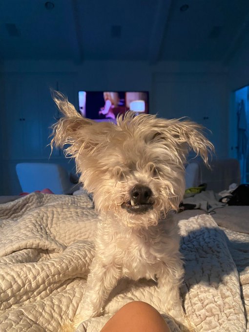 Monday mood 🤣 https://t.co/ab9CPlFoqz