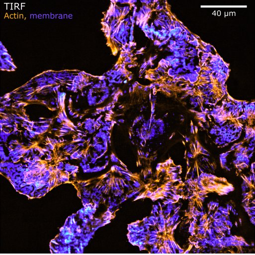 ChipNanoimaging's tweet photo. Chip NanoImaging is among of the finalists in the Wiley Analytical Science Award 2024.  Please vote for us within the end of September at the following link:

https://t.co/EsnqdxMMSK https://t.co/ZIiKFW7kSO