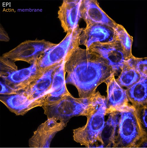 ChipNanoimaging's tweet photo. Chip NanoImaging is among of the finalists in the Wiley Analytical Science Award 2024.  Please vote for us within the end of September at the following link:

https://t.co/EsnqdxMMSK https://t.co/ZIiKFW7kSO