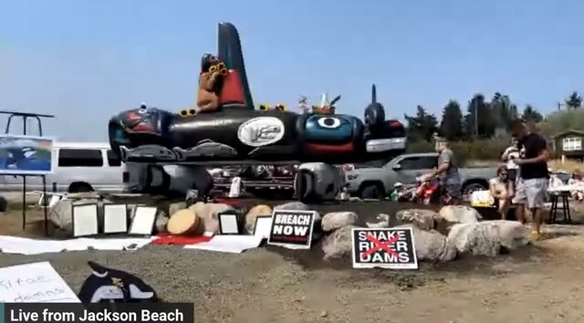 Jools_Orca's tweet photo. ICYMI here is a full recording of the celebration of Tokitae.

https://t.co/I688TkCcZQ

@jeffrey_ventre @OrcaSOS @SunnysidePri @Sam10k @Voice_OT_Orcas @_AnimalAdvocate @Barbi_Twins @GerdavanRijn1 @Seasaver @LeosAnimalPlan1 @Casey_Pup @louisa1000 @RobRobbEdwards @TilikumCo 💙 https://t.co/UUgWg3imDz