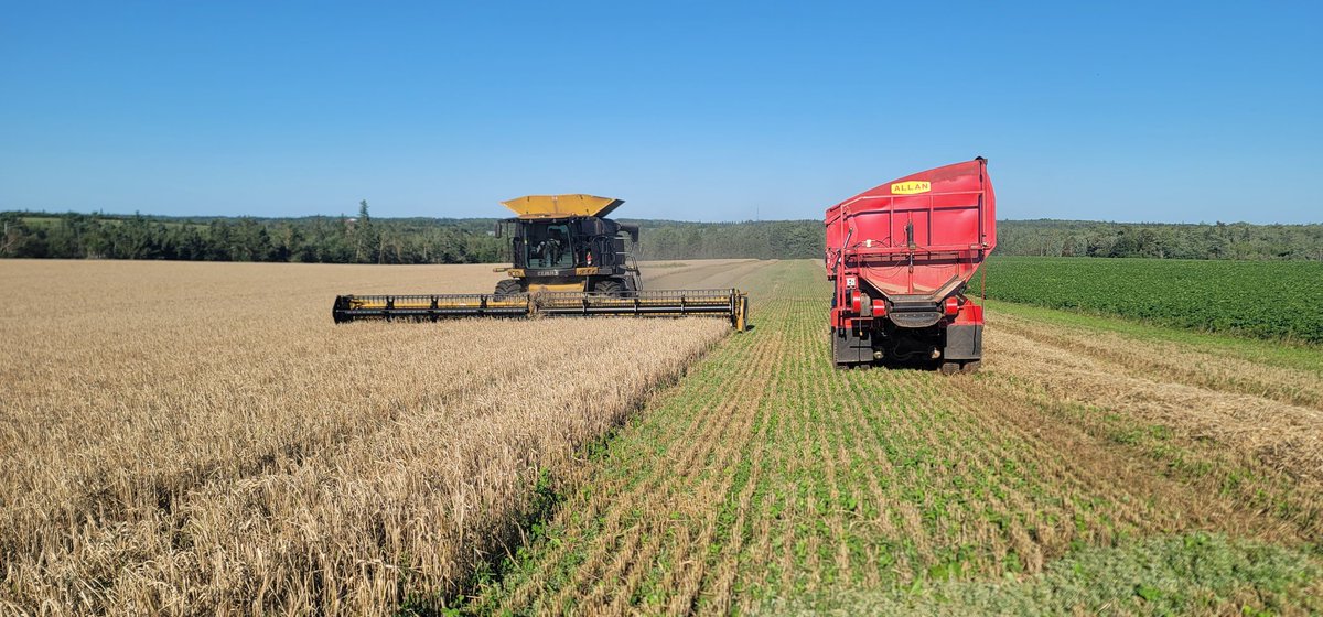 Back at the barley this evening