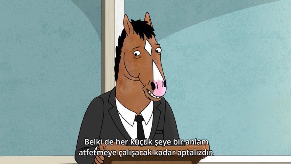 ''Belki de her küçük şeye bir anlam atfetmeye çalışacak kadar aptalızdır.'' 

(BoJack Horseman)