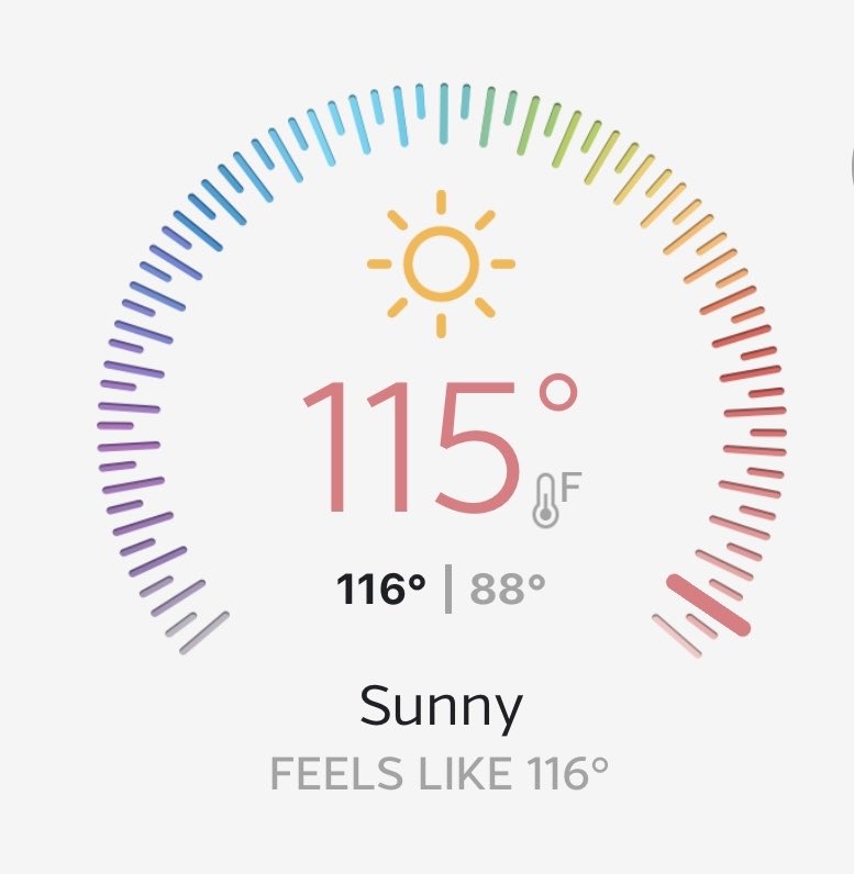 dcarson448's tweet image. 