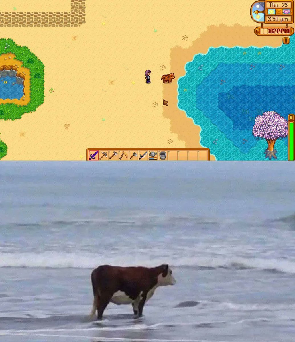 Stardew beach farm is under appreciated

posted by u/whiskeypoops. Post url: shorturl.at/hsASZ #StardewValley #Stardew