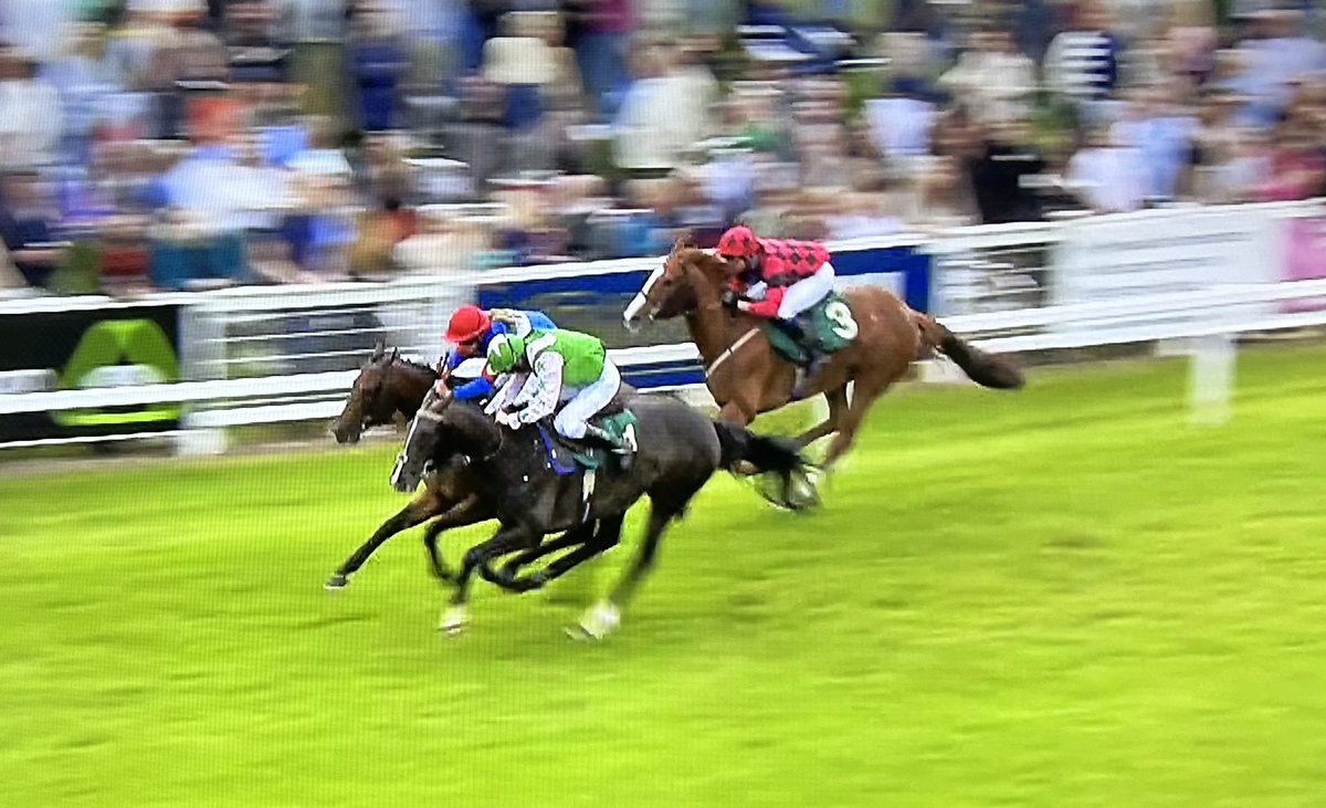amajox's tweet photo. Only #5ran in AJA Novice Riders @RiponRaces but what a thriller! Congratulations @amajox #PhilipThomas WINS again on #Dogged for @RebeccaEMenzies rallying under pressure to snatch victory from @Steph44287864 in final strides #neck Well done Philip! #DoggedDoesIt #topride #Topjock πππ@TimReed19611912