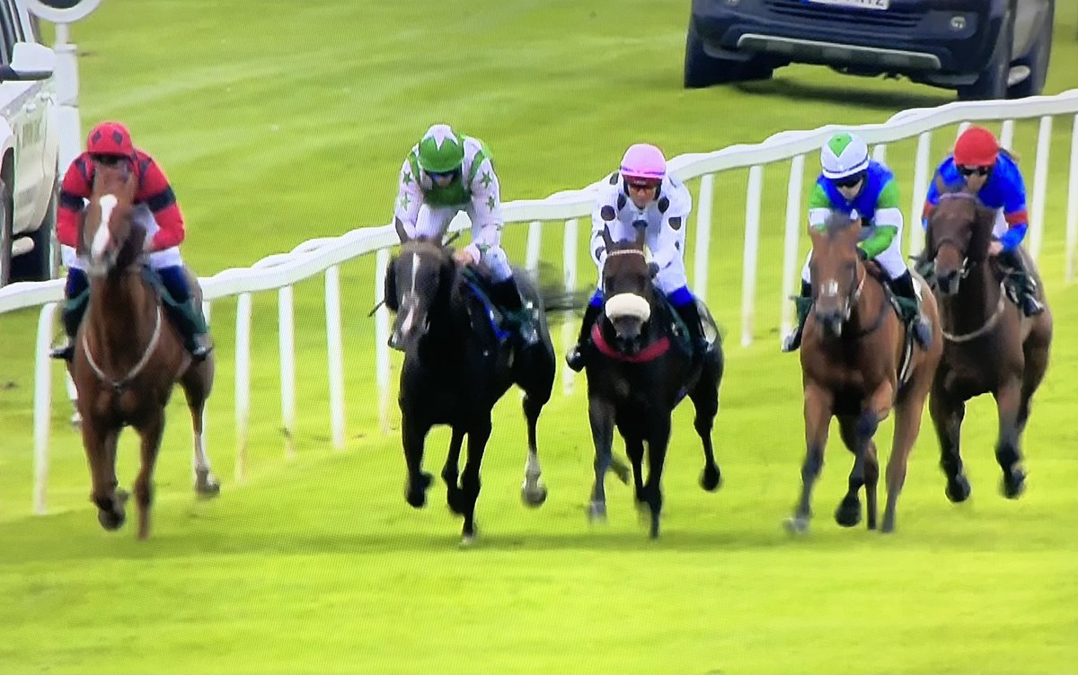 amajox's tweet photo. Only #5ran in AJA Novice Riders @RiponRaces but what a thriller! Congratulations @amajox #PhilipThomas WINS again on #Dogged for @RebeccaEMenzies rallying under pressure to snatch victory from @Steph44287864 in final strides #neck Well done Philip! #DoggedDoesIt #topride #Topjock πππ@TimReed19611912