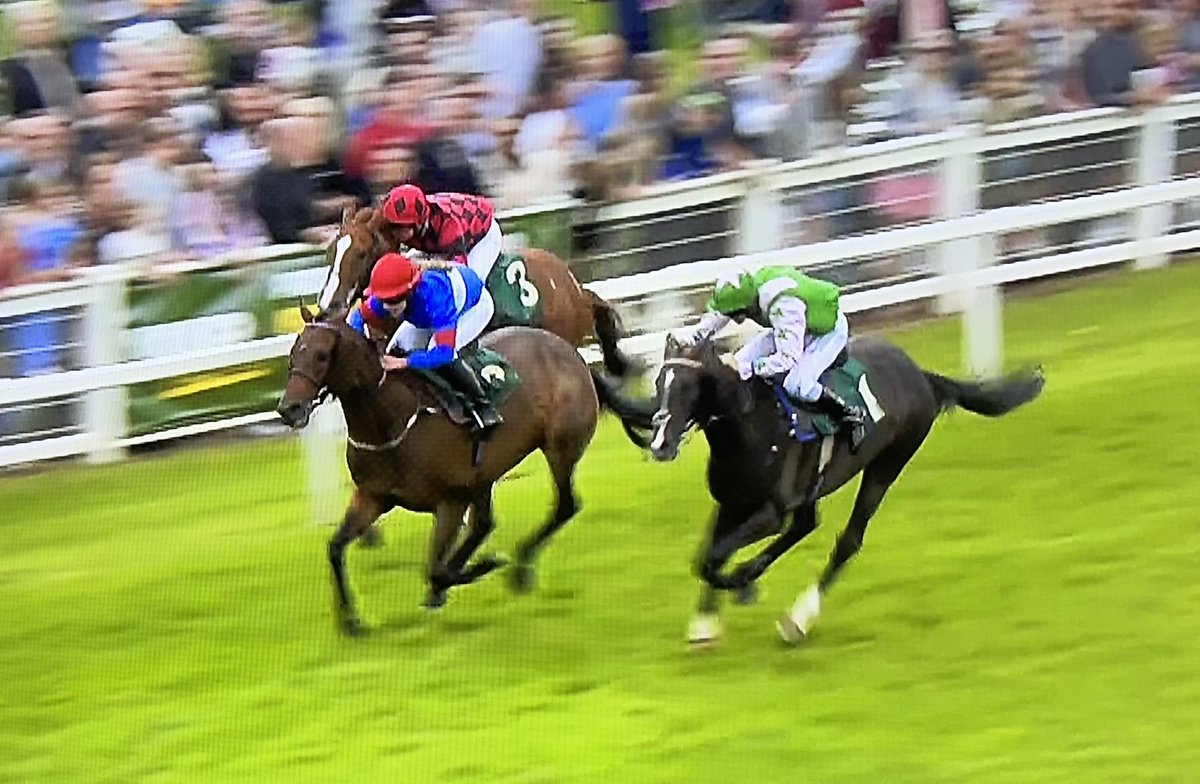 amajox's tweet photo. Only #5ran in AJA Novice Riders @RiponRaces but what a thriller! Congratulations @amajox #PhilipThomas WINS again on #Dogged for @RebeccaEMenzies rallying under pressure to snatch victory from @Steph44287864 in final strides #neck Well done Philip! #DoggedDoesIt #topride #Topjock πππ@TimReed19611912