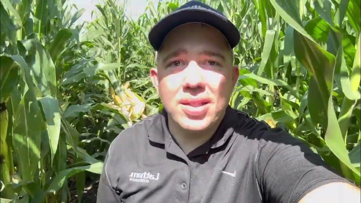 LathamSeeds's tweet photo. Check out the ear development on one of Dan’s new favorite products in Southern Minnesota.
https://t.co/5gTxUogbVv
#FromtheField #FamilyOwned #FarmProven #WhyLatham https://t.co/egxzXUYabE