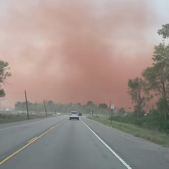 risestjames tweet media