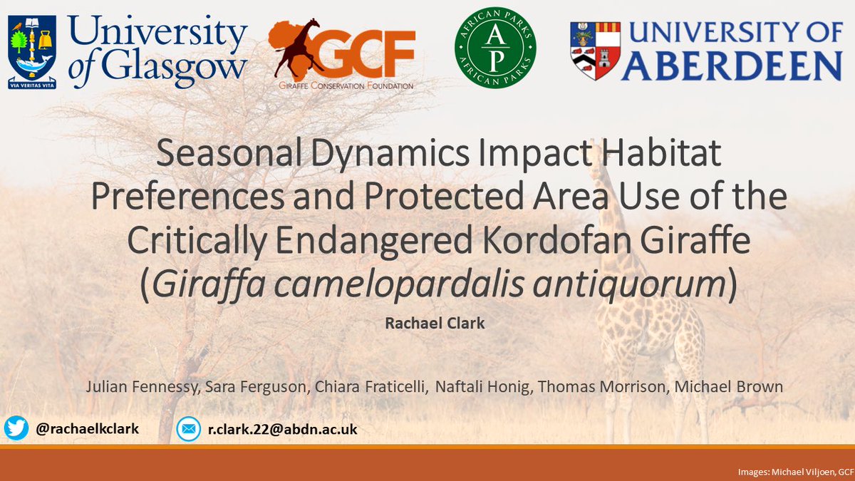 rachaelkclark's tweet photo. Fantastic first day at #BESMove2023 learning about aerial movement and human-wildlife interactions in terrestrial environments. Be sure to catch my talk tomorrow afternoon during ‘Animal Movement in Terrestrial Environments’  🦒 I’ll be the one in the giraffe sweater! https://t.co/5Xq9OLbDr4