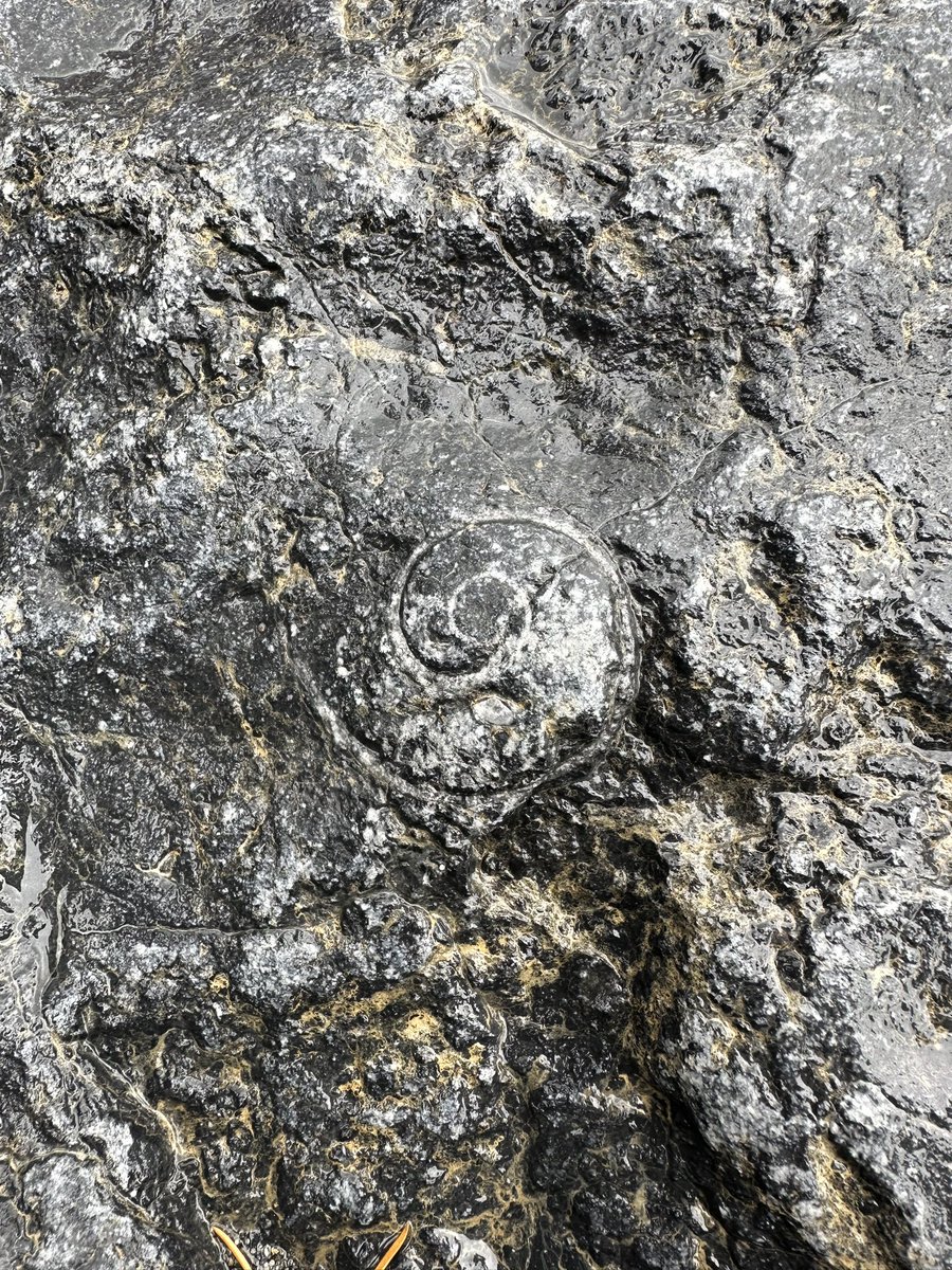 Luckily for me there is some fantastic #geology along the South Nahanni River so lots of opportunities for impromptu stops along the way 😀 #nahanniriveradventures #cangeoadventures #nahanninationalparkreserve @rcgs_sgrc @cangeotravel @CanGeo