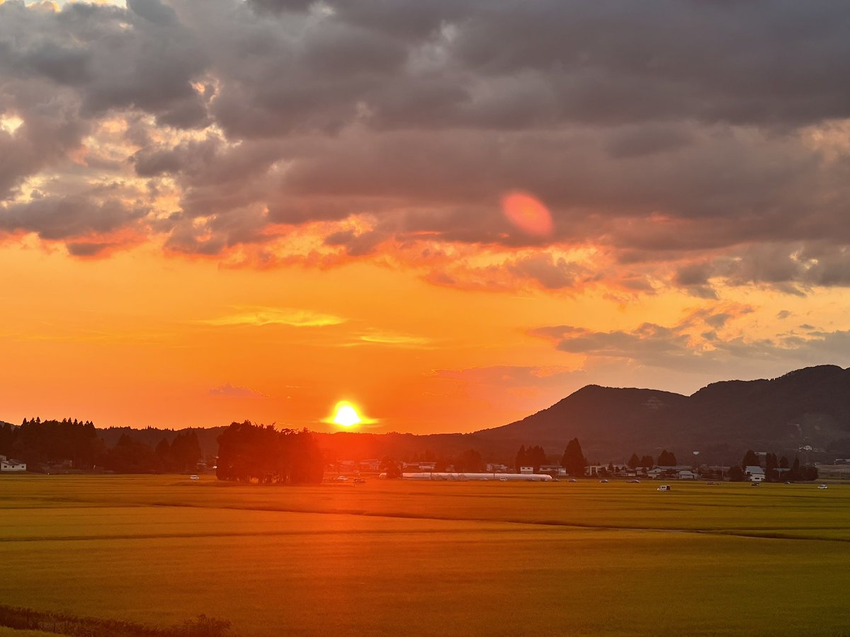 NorySirusoni's tweet photo. 昨日秋田から帰宅。
コンクール近し実家で練習しようとバリ持って帰ったがエアコンがある腹は居間だけ。外は38℃…田んぼでも吹けず…。それに花火大会もあって、色々あって結局吹けなかったです。
でも大曲の花火は見事でした。YouTubeで載せてた方がいたので見てください。

https://t.co/GDdcBoCyA9 https://t.co/bVuFweDobf
