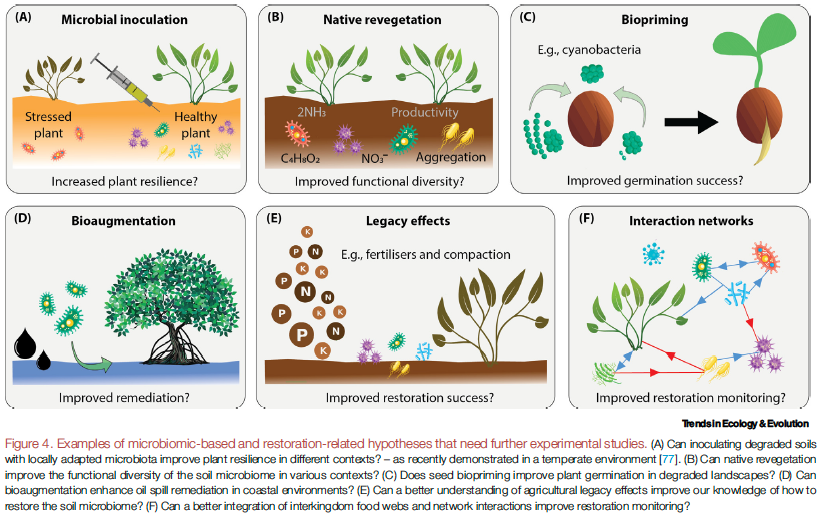 Martin Breed (@_mbreed) on Twitter photo Delighted to see this new paper out in <a href="/Trends_Ecol_Evo/">Trends in Ecology & Evolution</a> "Opportunities and challenges for microbiomics in ecosystem restoration" sciencedirect.com/science/articl…
Great lead <a href="/_jake_robinson/">Jake Robinson</a> and another stellar collaborative effort 🌳🧬🌄
Just in time for <a href="/SERestoration/">SERestoration</a> #SER2023 in Darwin Delighted to see this new paper out in <a href="/Trends_Ecol_Evo/">Trends in Ecology & Evolution</a> "Opportunities and challenges for microbiomics in ecosystem restoration" sciencedirect.com/science/articl…
Great lead <a href="/_jake_robinson/">Jake Robinson</a> and another stellar collaborative effort 🌳🧬🌄
Just in time for <a href="/SERestoration/">SERestoration</a> #SER2023 in Darwin