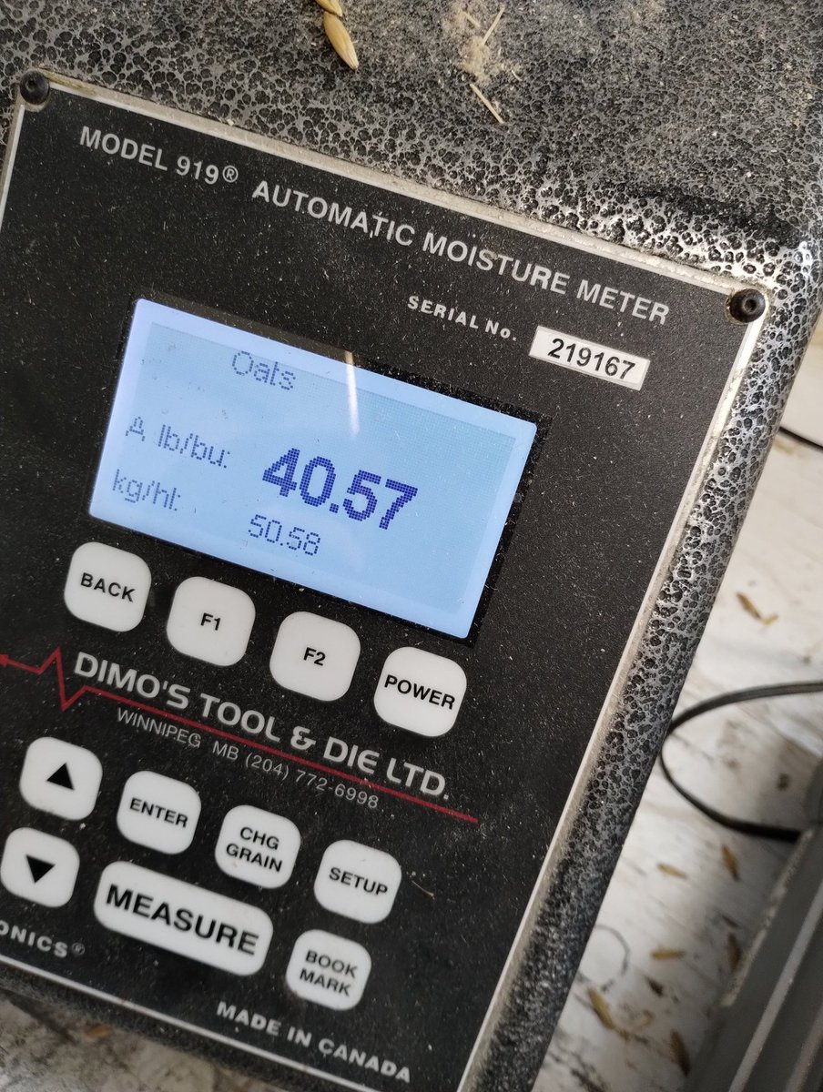 Based on a sample size of 1, the oats are f'ugly this year.  Hopefully they are fine when peeled but they sure are mildewy and light.