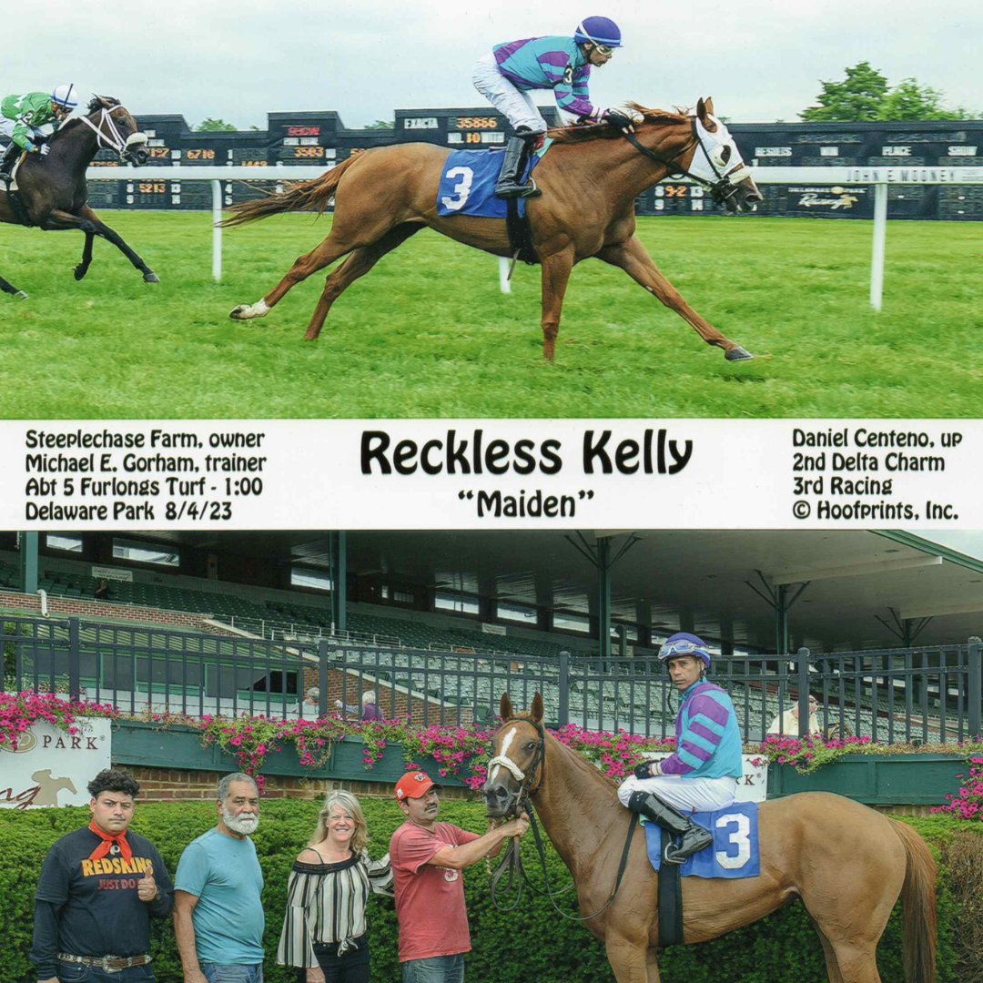 recklesskelly's tweet photo. 🐎 Fun Fact: You may have heard of the Reckless song, “Nobody’s Girl” but did you know that we ARE somebody’s horse? We’re honored that the owner of this racehorse named it after the band! Thanks for sharing with us! https://t.co/GCFX7YMHwJ