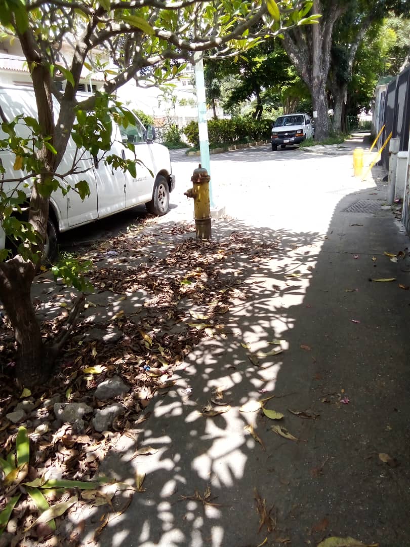 LaCaliforniaSi's tweet photo. MAL PARADOS | #28agosto | En la Av. Roma con Barcelona están mal parados 2 vehículos. Uno de ellos comiendo flecha. Está estacionado donde estaba el bus remolcado hace unos meses. @PolisucreOficia, esos carros generan inseguridad vial y personal. Pidan a sus dueños los muevan. https://t.co/aSFKpyfoUo
