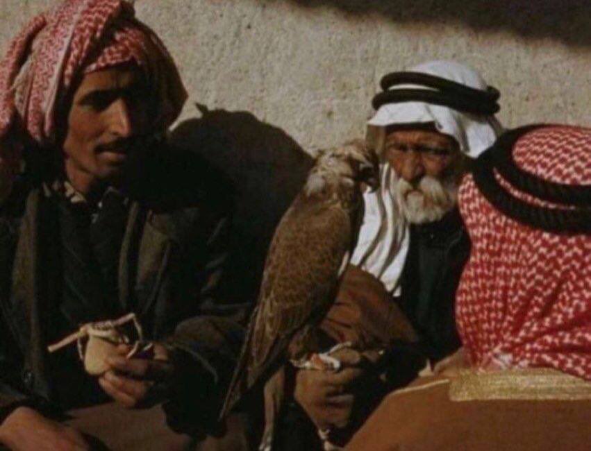 ياصديقي خابر انك صامل ومتحدي
لاتشيّب همتك لو شعر راسك شيّب

ولا تقول إلى متى وانا الليالي ضدي
انت طيّب والليالي ماتحب الطيّب 

__سعود الرساسمة