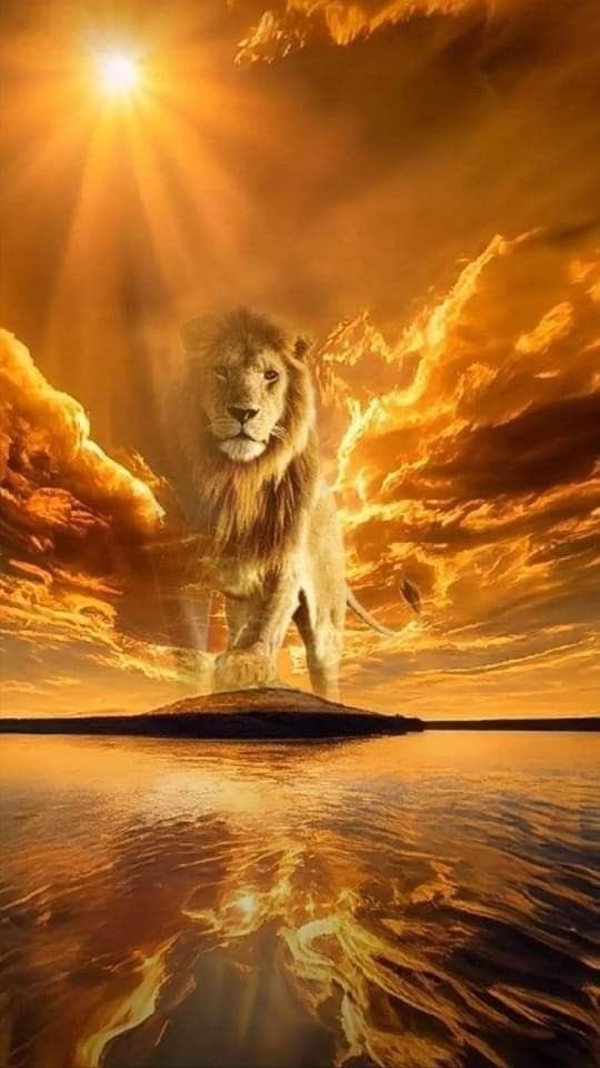 neVacanGS's tweet photo. __Bütün DUA🙏lar Sizlere ASLANLAR Alın Bu Maçı🙏
BAŞARILAR🔥🔥🔥🔥🔥🔥🔥
💛❤️💛❤️💛❤️💛❤️💛❤️💛❤️
#BugünGünlerdenGALATASARAY 🦁🦁🦁🦁🦁🦁🦁🦁🦁🦁🦁
#KONSANTRASYON
#HedefCL https://t.co/gAZc8myj9A