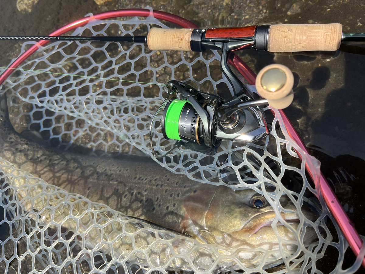 23カーディフXRをエリアトラウトで一日使ってみた感想。すごくいい