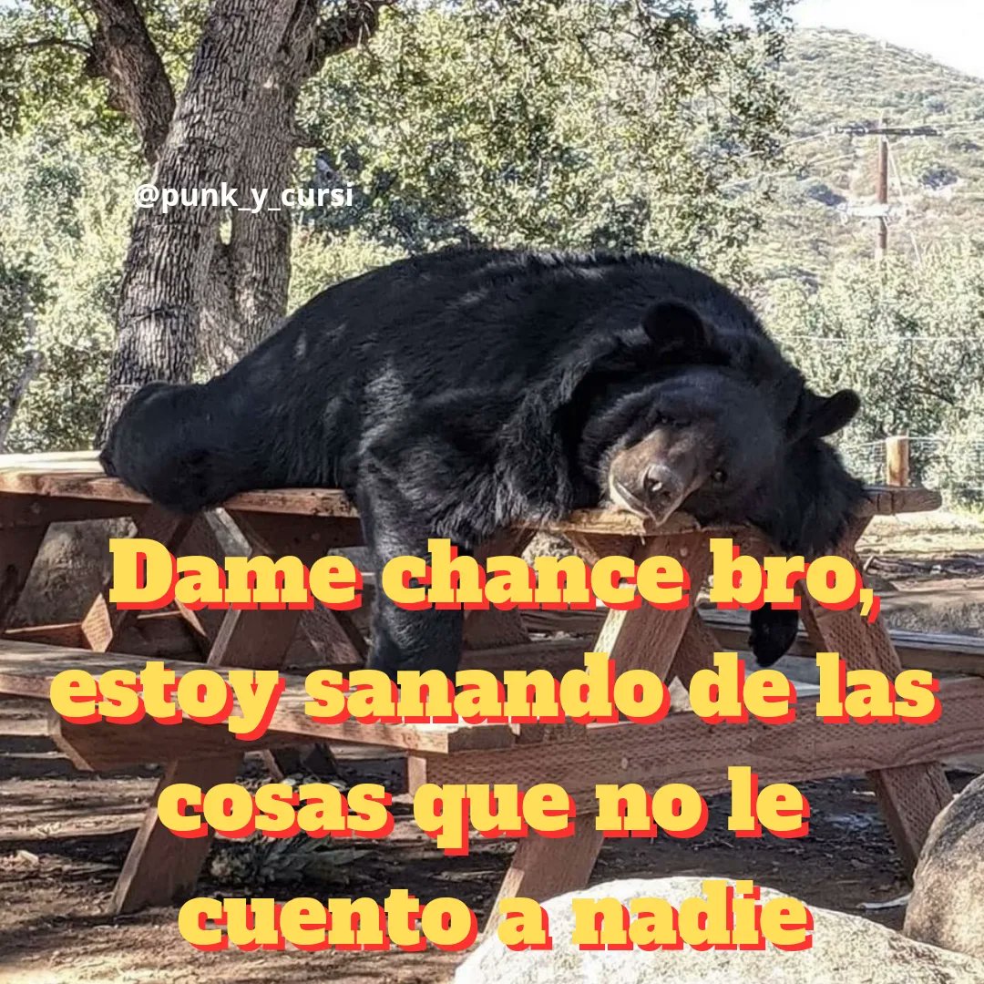 punk_y_cursi's tweet photo. 🐻 https://t.co/omXjaTVapN