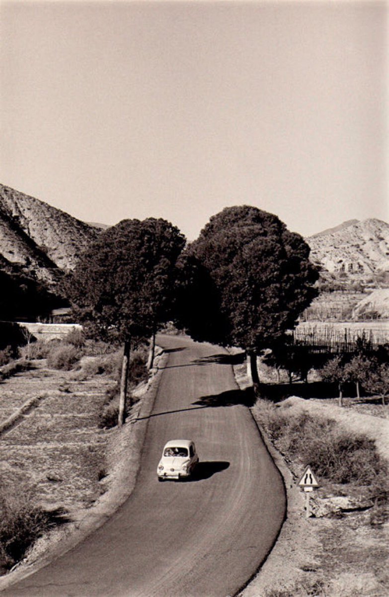 Ina de Bree tweet media