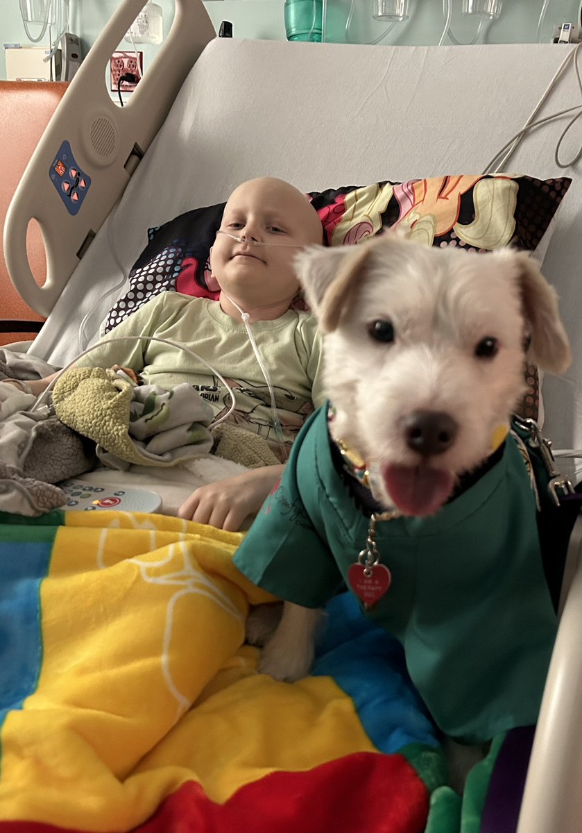 Hello everyone!
I saw our friend Zachery on my rounds today! 

Zachery said thank you for all the messages and pet photos…he’s starting to feel better! 

We are #TeamZachery 
#PawYouNeedIsLove
#HisFightIsOurFight 
#AStrongerFamilyTogether