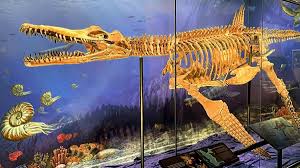 amayor's tweet photo. Jurassic marine reptile fossil bone discovered in ancient Roman burial shows that Romans were some of the #FirstFossilHunters
https://t.co/SuadFQFPDz via @YahooCASports https://t.co/Ov8IAn4Tll