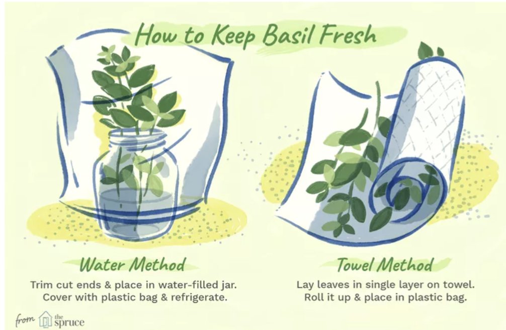 GardenKimbourne's tweet photo. You smell that? That's the smell of freshly picked #basil. Garden@Kimbourne has #basils #planted about in the #permaculturegarden. Some in the #herb #garden, some in the #raisedbeds and some in a #plantpot on the steps.🌱
#freshbasil
#herbs
#growingfood
#growingcommunity https://t.co/DKn8mbH9Fe