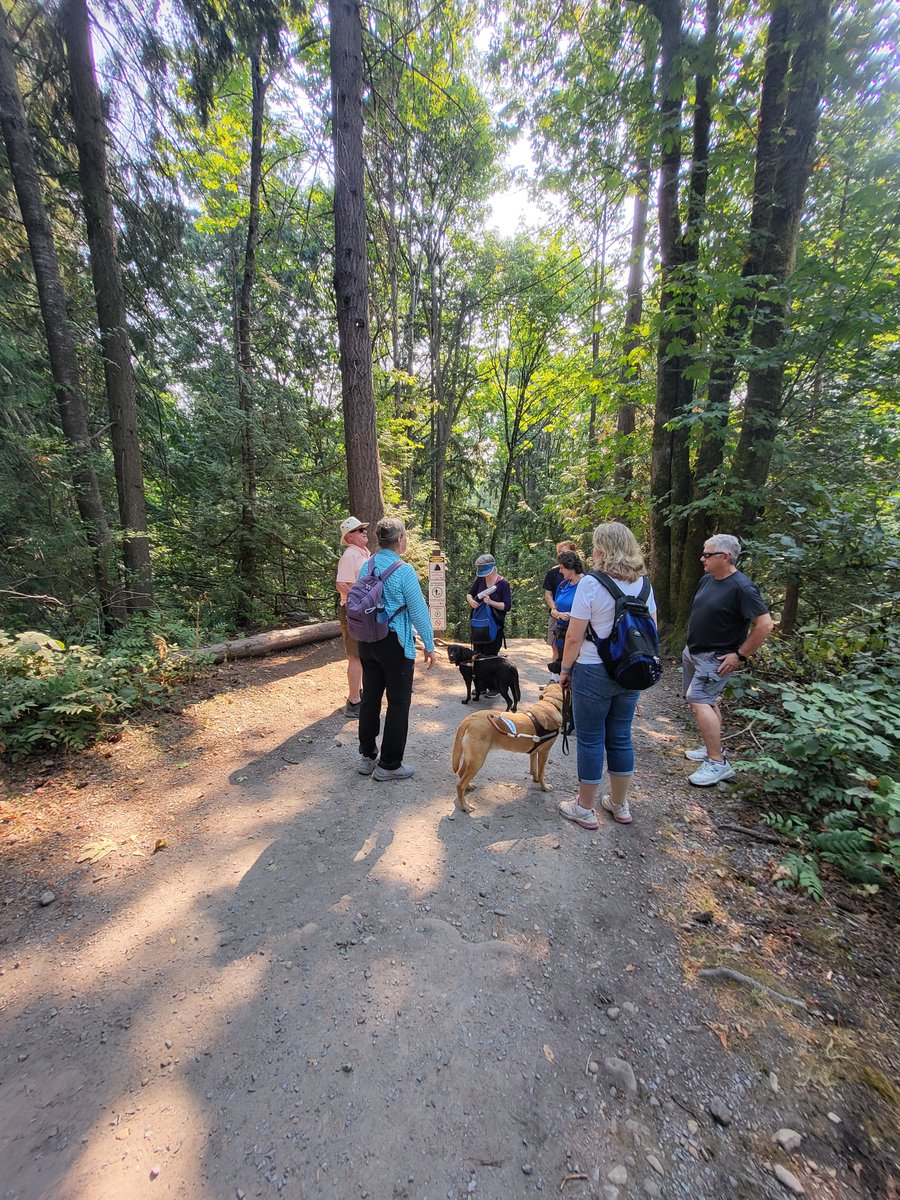 bc_blind's tweet image. Today, the walking club met for the first time. Members and staff met at the Edmonds station and walked the Byrne Creek Ravine Trail. It was a beautiful day out too!