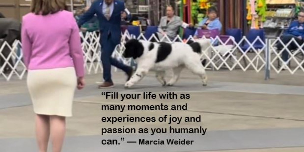 “Fill your life with as many moments and experiences of joy and passion as you humanly can.” — Marcia Weider
Happy Monday, folks! 🤗 Start the week off right.  🤩 With an attitude of gratitude and living in the moment. #MondayMotivation #FilledWithJoy #OzarkLegendsNewfoundlands