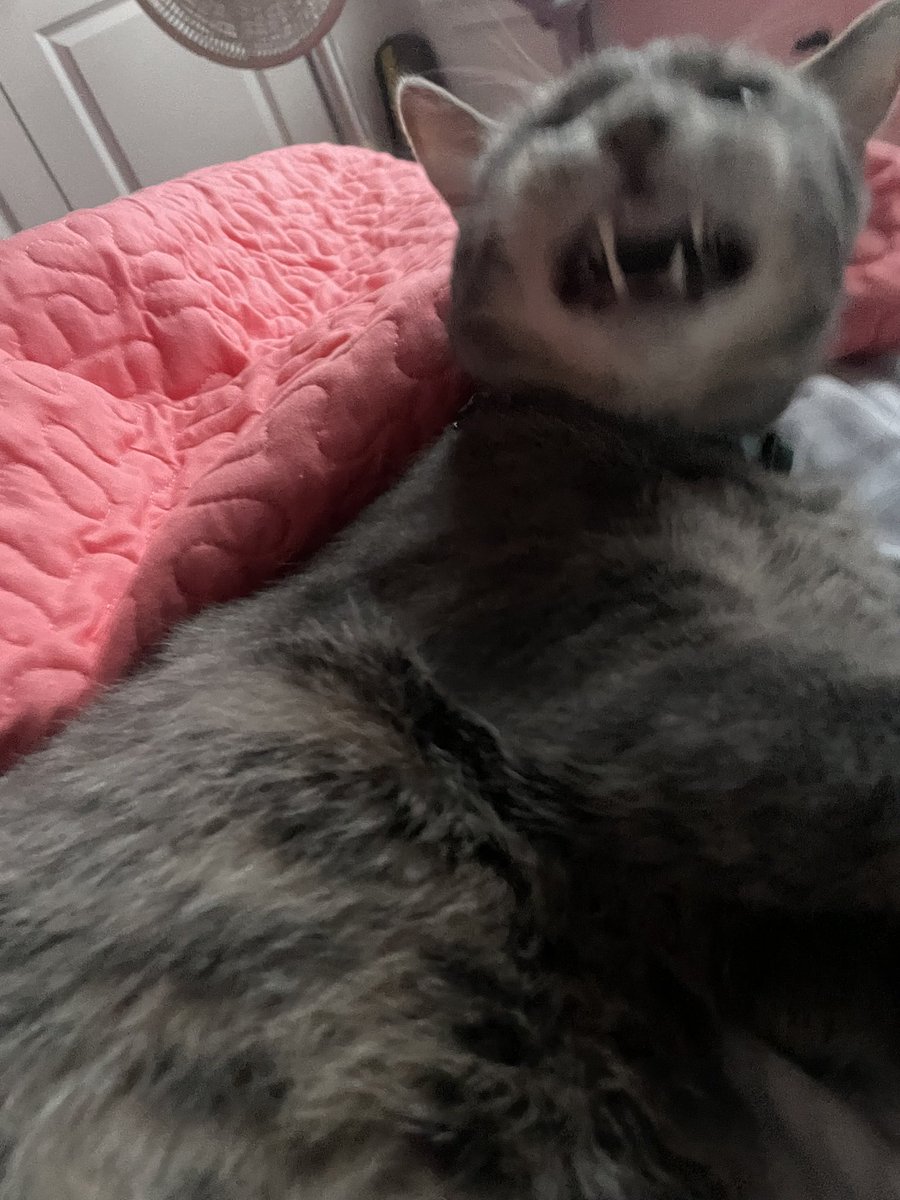 teeeeef !!!
