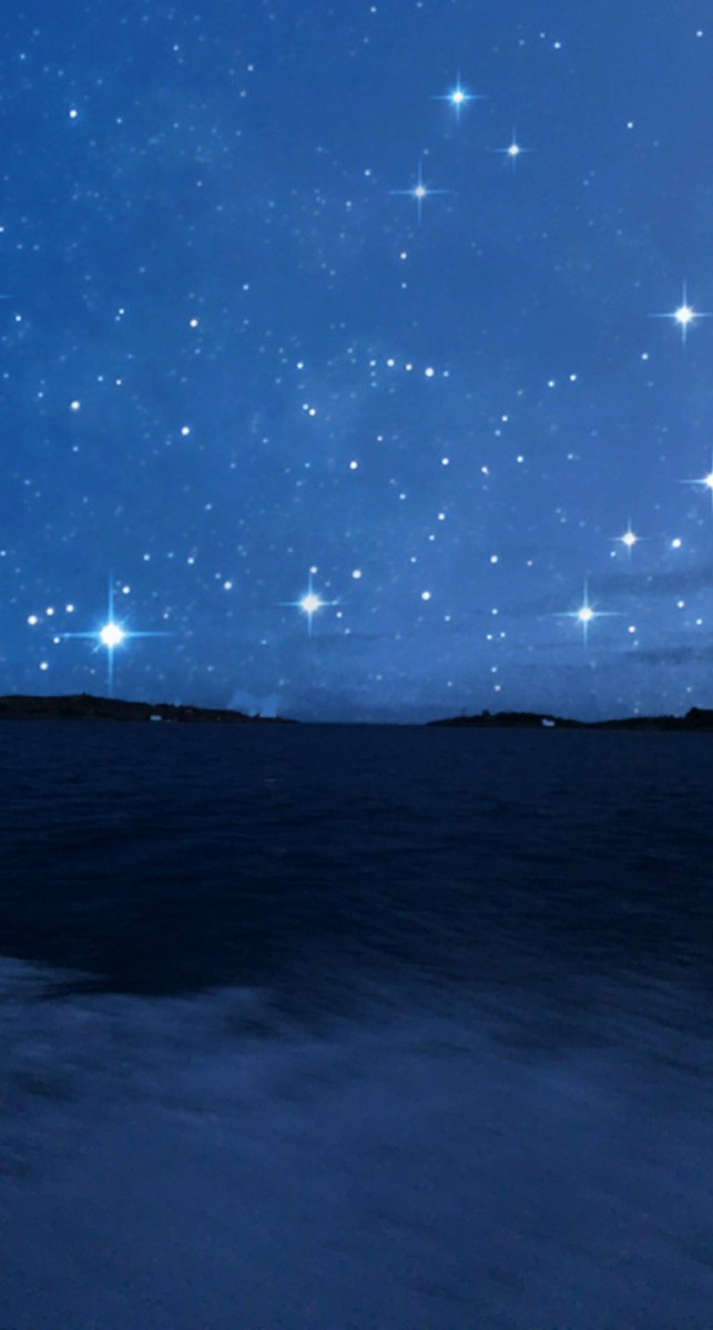 Milli 💛 tweet media