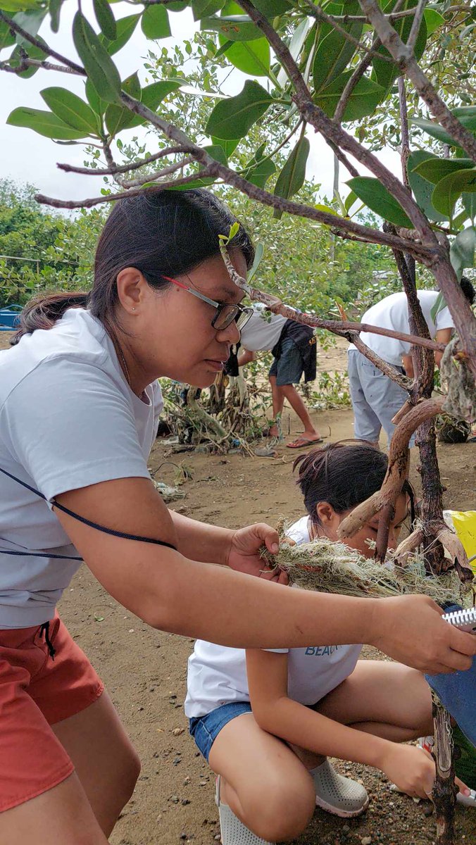 ElmaColiao's tweet photo. Mangrove clean up
Click our post here:https://t.co/KKnZJNRvbW
Beach collective https://t.co/IhYklEvv7j