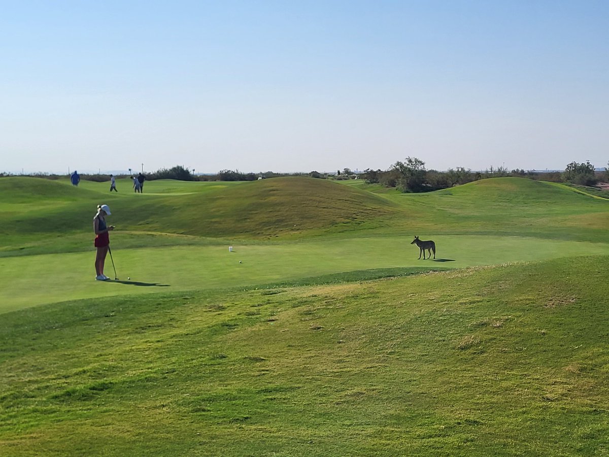 KateBennettGolf's tweet photo. We shot -6 in @USGA #USWFourBall qualifier - not quite enough to get it done! 8 biridies & a huge win in the playoff for 1st Alternate! Thanks #SCAGA & #PaintedDunesDesert for being fine hosts! Love @ElPasoTXGov #KateBennett #ALLinAVL #UNCA #BoomDawgs #TeamTitleist #Vision54 https://t.co/16en86O4sy