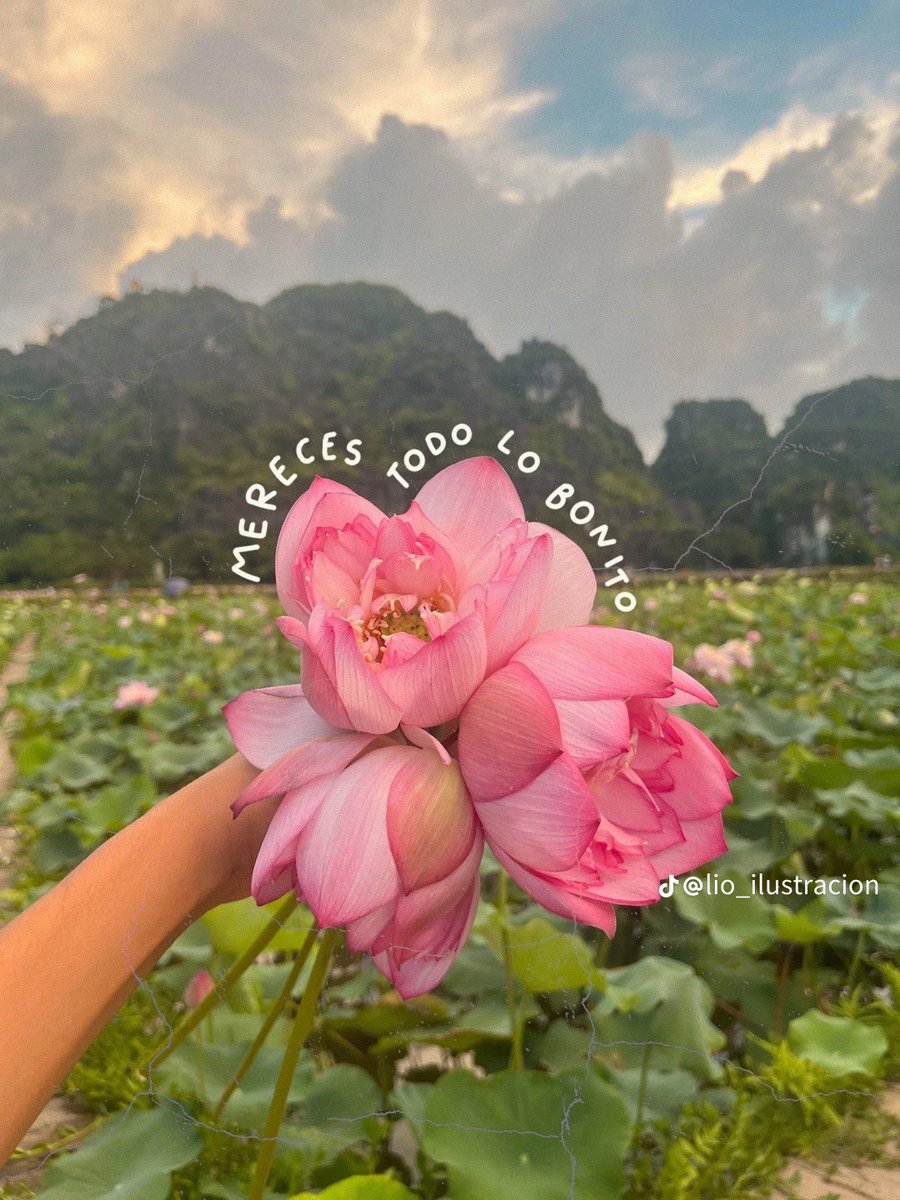 Naz ʚଓ tweet media