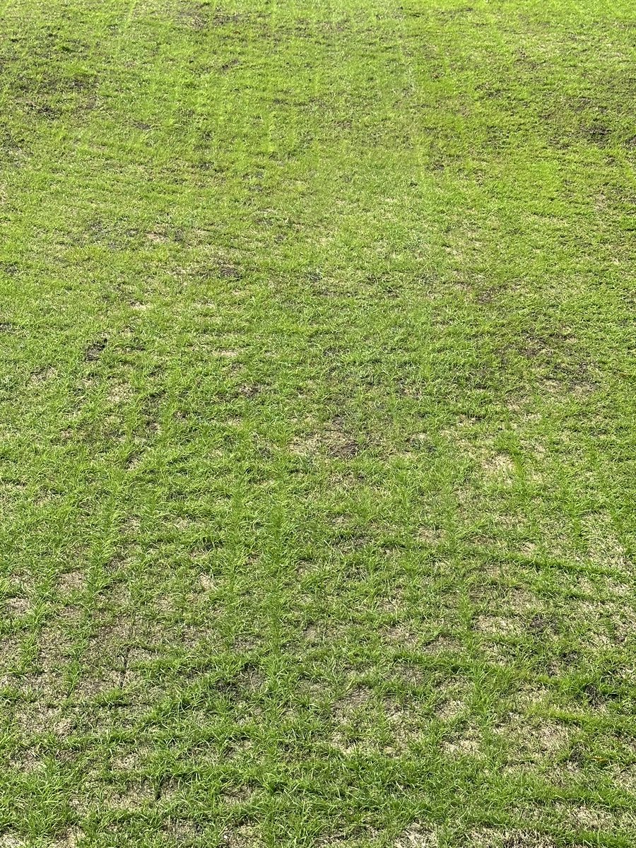 JT Hauser tweet media