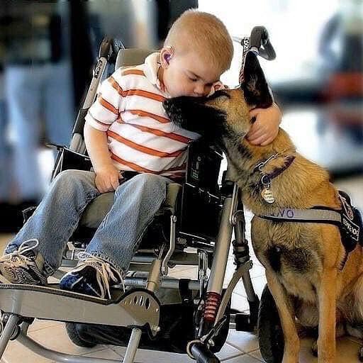 On a scale from 1 - 10 how beautiful is this photo? ❤