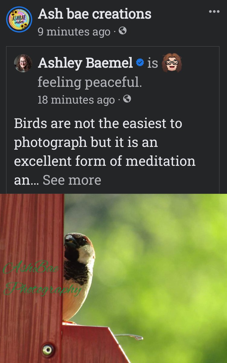 📸 🐦