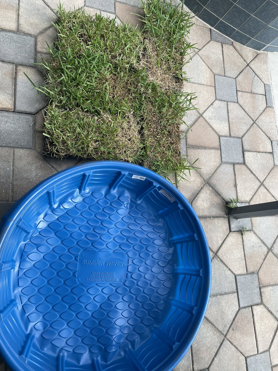 Iambuddygreen's tweet photo. @TheJohnSenning Don’t forget the poopy pool too! https://t.co/diWSozmEk6