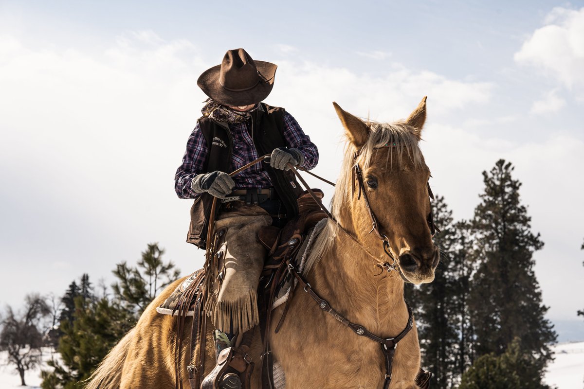 BoxerOutdoors's tweet photo. Our belts are #rugged enough for anything you can throw at them AND have a lifetime warranty 💪

Check out our Montana made belts https://t.co/wvZ9H8FFuz
#outdoors #horse #cowgirl #cowboy https://t.co/oo05Yujatk