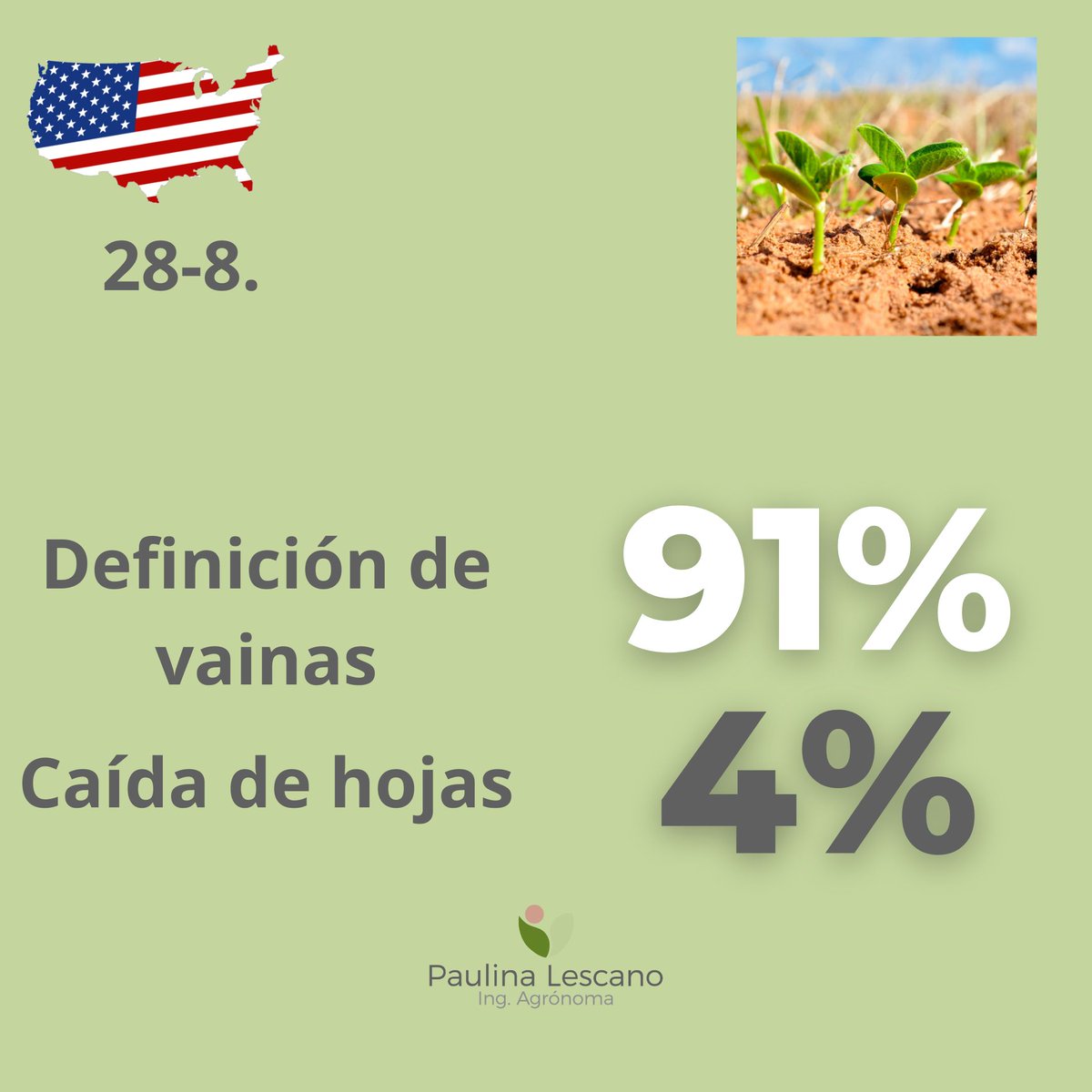 paulina_lescano's tweet image. #soja #cropprogress