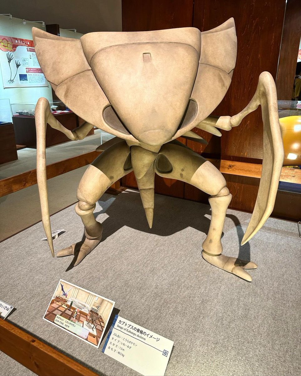 GommunityMx's tweet image. ⚠️Pokémon Fossil Museum 
📍Japón 🇯🇵

#GOmmunity #Pokemon #Japón #PokemonLife