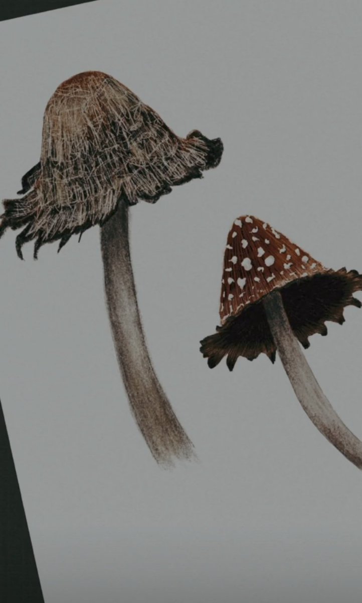 Helloooo ,good night 😊