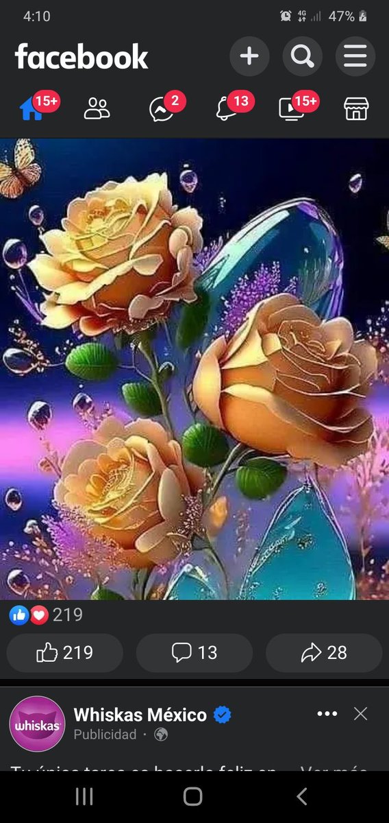 Victoria Sánchez (@victoriasan63) on Twitter photo 