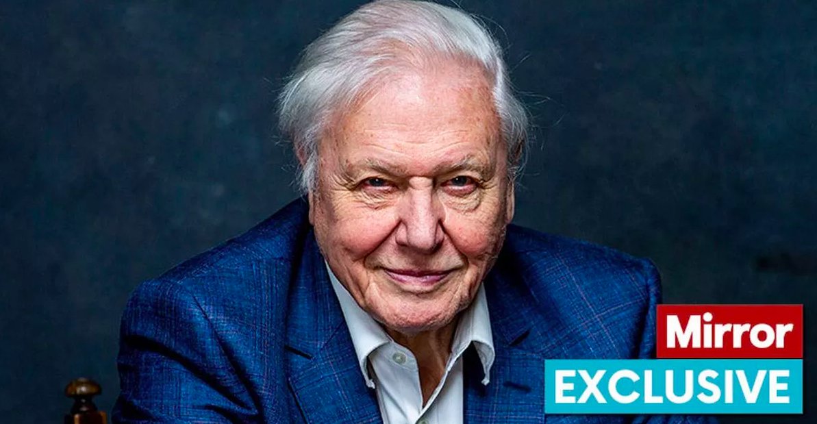 Mirror Earth tweet media