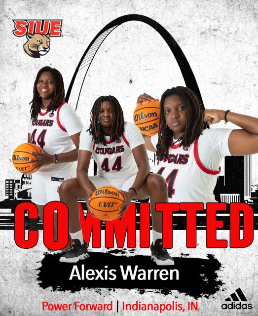 Alexis Warren tweet media