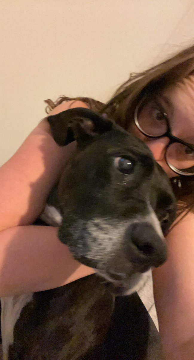 SheaBruce16's tweet photo. TW// pet death

Our family dog was attacked and killed by another dog this weekend and I am so beyond heartbroken about it. Rest in peace, sweet Minnie. https://t.co/uTVDm7oJKu