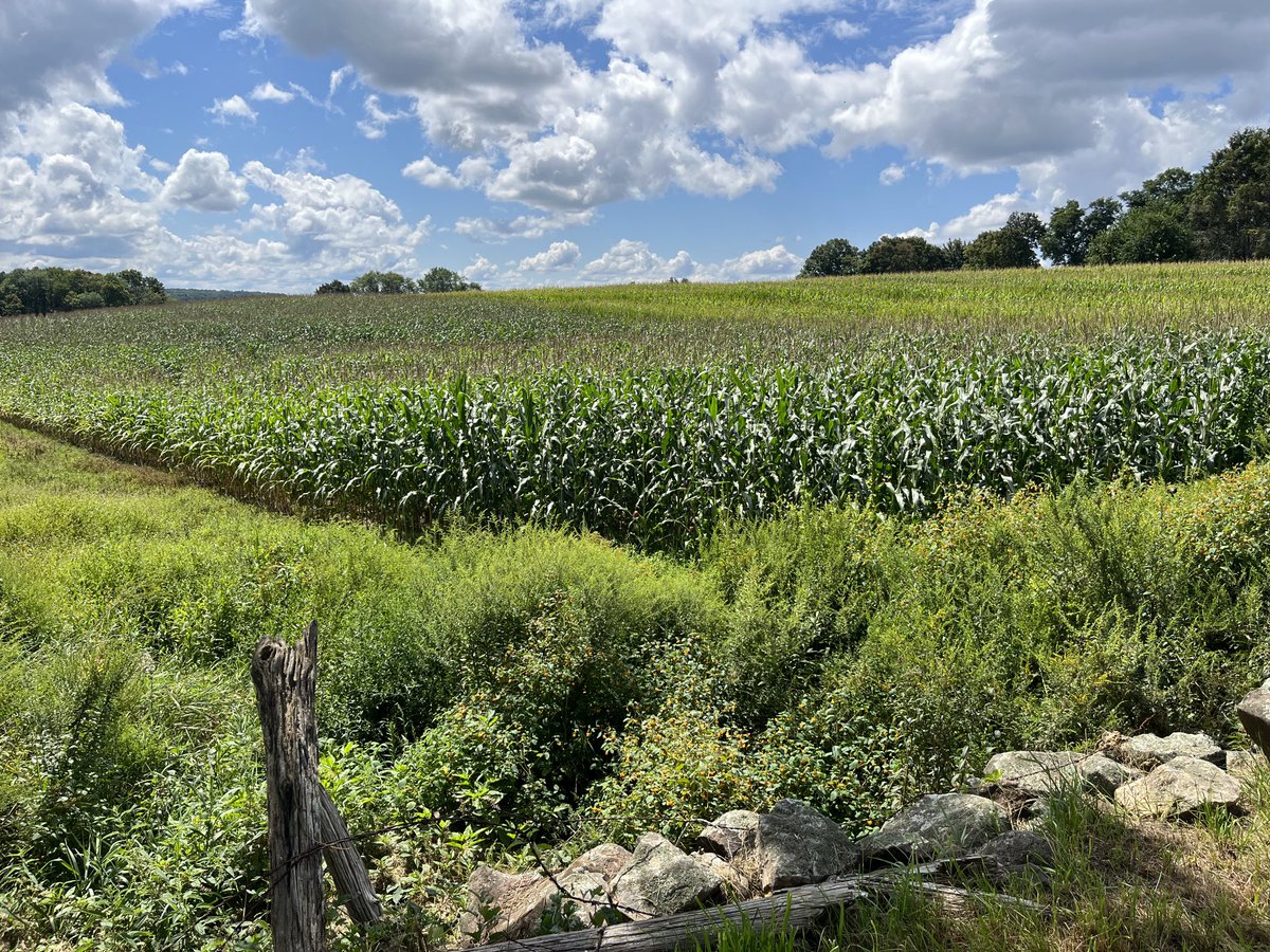 JamesBaronPR's tweet photo. Vernon, Conn. https://t.co/y8z07LCuFT