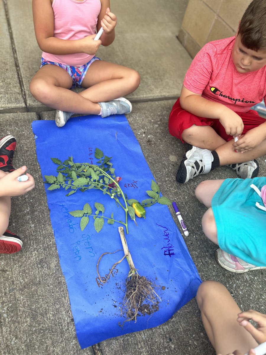 Siegel Elementary tweet media