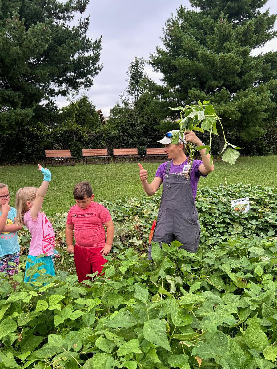 Siegel Elementary tweet media